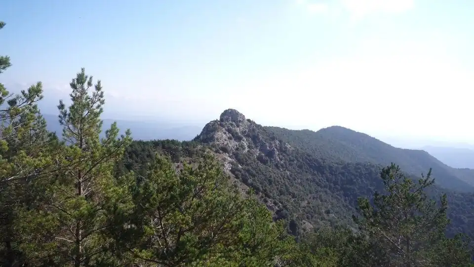 Serra de Bac Grillera, Catalonia, Spain (Lower Jurassic limestone resting on younger autochthonous Tertiary formations)