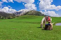 Payee meadows in Shogran