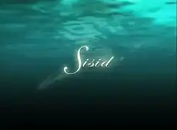 An image of a body of water. The series title is displayed on the center of the image.