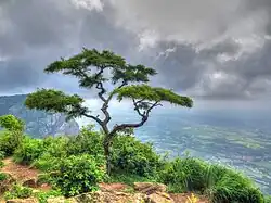 Sitharkundu viewpoint