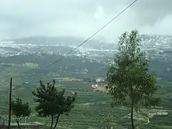 Snow covering Jabal Safi, view from Kfar Melki Feb. 2010