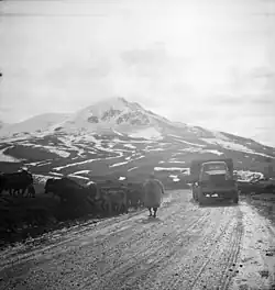 A US Army truck convoy carrying supplies for the Soviets somewhere along the Persian Corridor. c. 1943