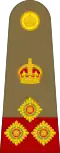 Brigadier