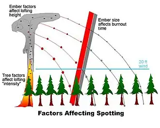 Diagram of how spotting occurs and the factors contributing to spotting