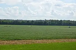 Along State Route 37 northwest of Alexandria