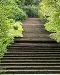 Flight of Steps, Dartington Hall Gardens