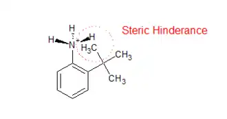 Steric Inhibition of Protonation