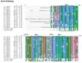 TMEM19 Strict Orthologs (Vertebrates) Multiple Sequence Alignment. Sequences were aligned using ClustalO,[24] transmembrane regions and exons were boxed. Consensus of amino acids are shown at 100% and 90%. Amino acids are colored based on their physicochemical properties.