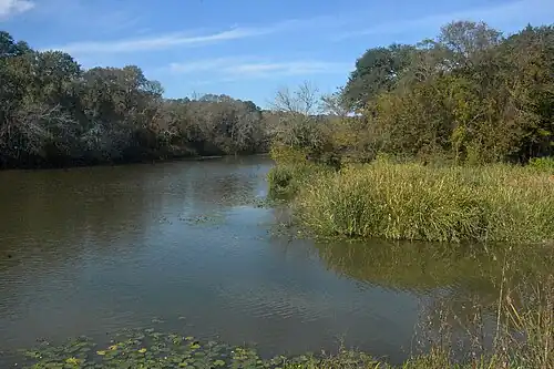 Stubblefield Lake seen from Lone Star Hiking Trail