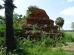 Overgrown ruins of a stupa