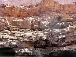 Tan- to cream-colored layer cliff face above water
