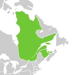 Symphyotrichum laurentianum distribution map: Canada — New Brunswick, Prince Edward Island, and Québec on the south shores of the Gulf of St. Lawrence.