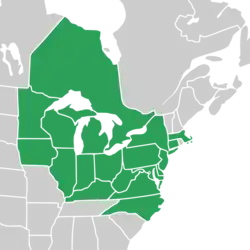Symphyotrichum prenanthoides native distribution map: Canada — Ontario; US — Connecticut, Delaware, District of Columbia, Illinois, Indiana, Iowa, Kentucky, Maryland, Massachusetts, Michigan, Minnesota, New Jersey, New York, North Carolina, Ohio, Pennsylvania, Virginia, West Virginia, and Wisconsin.