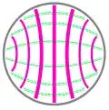 TE1,1 mode of a circular hollow metallic waveguide.