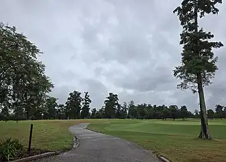 TPC Louisiana, cart path