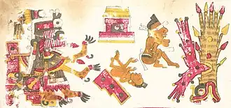 Itzpapalotl In Tamoanchan described in the Codex Borgia.