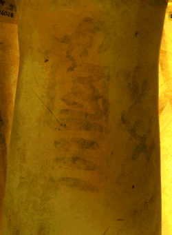 black ink inscription from Tarkhan