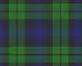 Woven tartan of Clan Campbell, Scotland