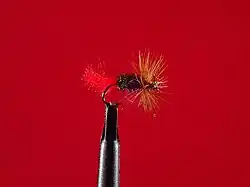 Tasmanian Red tag, a gum beetle imitation