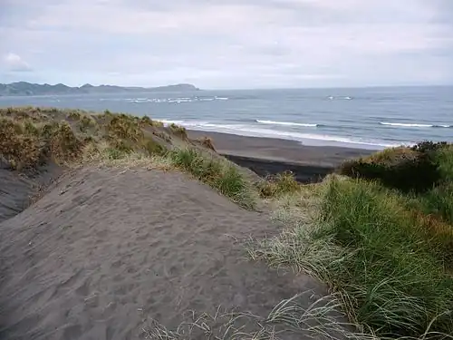Te Puia Springs are on the beach to the right from this track across the dunes.