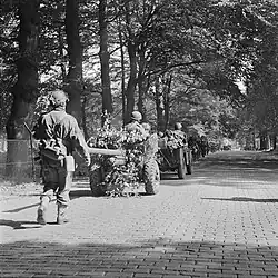 Column of marching men, jeeps towing guns along a tree lined street