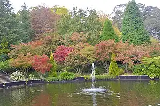 The autumn colour of the Bebeah Private Garden