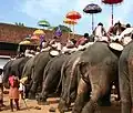 Caparisoned elephants during Sree Poornathrayesa temple festival.