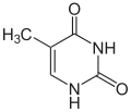 Chemical structure of thymine