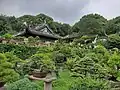 Penjing Collection