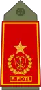 Brigadeiro-general (Timor-Leste Army)
