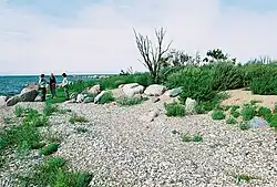 Tondirahu in Matsalu National Park, Lääne County, Estonia.