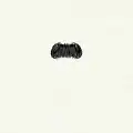 "Toothbrush" moustache style