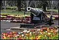 Memorial Cannon –Queens Park Botanic Gardens 2014