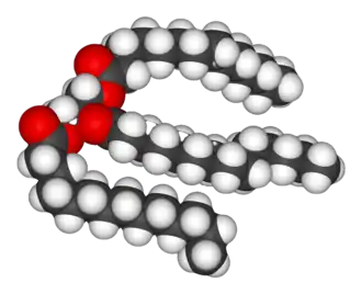 A space-filling model of an unsaturated triglyceride.