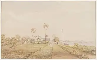 The plantations 'Nijd en Spijt' and 'Alkmaar' (1860)