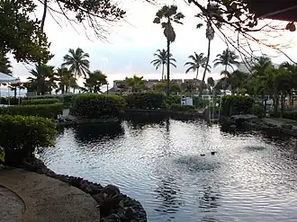 The Tropical Gardens.