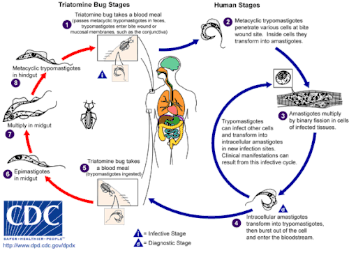See "Cause" section.