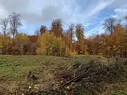 The tumuli near the ponds[4]