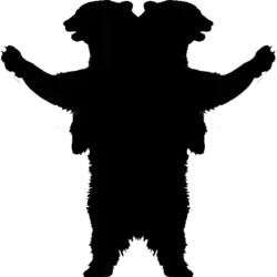 The humorous image of four-pawed double-headed bear posing as double-headed eagle