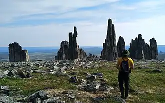 Natural monoliths formed by cryogenic weathering north of Arctic Circle
