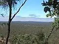 A view from the rim of Kalkani Crater. Undara Crater in the distance. Line of pale vegetation traces a lava tube.