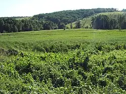 Landscape in Uryupinsky District