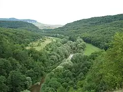 The Lăpuș Gorge [ro]