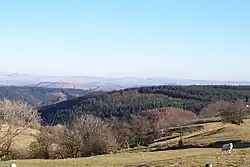 Photo of the view from Rhos Blaen Gorlech, Brechfa Forest