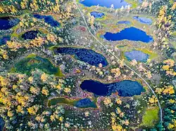 Viru bog, aerial photo