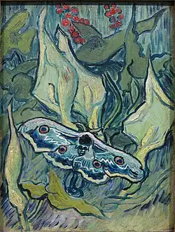 Great Peacock Moth (Death's-Head Moth on an Arum) 1889 Van Gogh Museum, Amsterdam, Netherlands (F610)