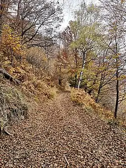 Picture representing the way up to Monte Piambello (Autumn 2020)
