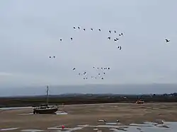 Beached boat at Wells-next-the-Sea