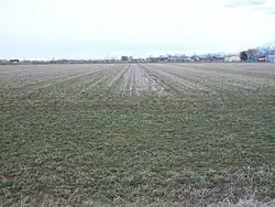 An agricultural field in West Weber, March 2011
