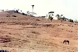 Dry season in Fatu Le`u (1991)